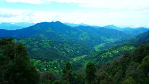 Kanatal  A hill Station of Uttarakhand