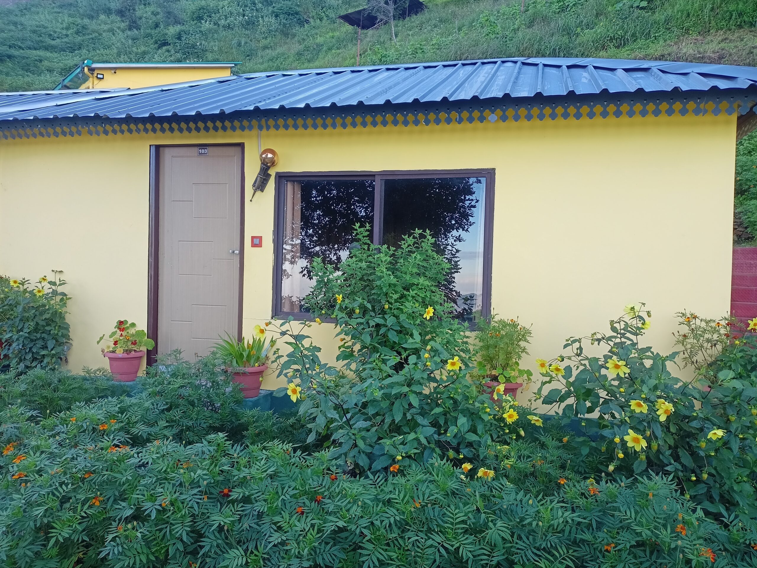 cottages with flowers in kanatal