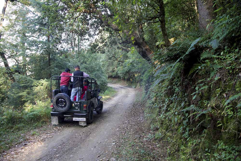 Jungle Safari in Kanatal Tehri Uttarakhand