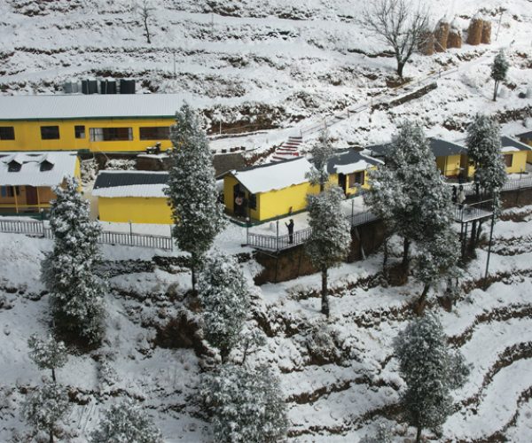 holistic eco resort in kanatal